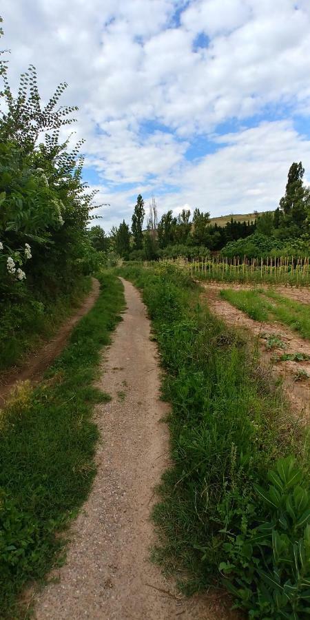 Apartamento Entrevinas En El Corazon De La Rioja Fuenmayor Ngoại thất bức ảnh